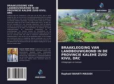 Bookcover of BRAAKLEGGING VAN LANDBOUWGROND IN DE PROVINCIE KALEHE ZUID KIVU, DRC