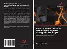 Couverture de Oszczędzanie zasobów naturalnych poprzez zastępowanie węgla