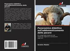 Panoramica didattica sull'addomesticamento delle pecore的封面