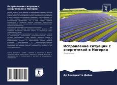 Исправление ситуации с энергетикой в Нигерии的封面