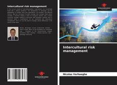 Intercultural risk management kitap kapağı