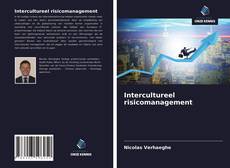 Bookcover of Intercultureel risicomanagement