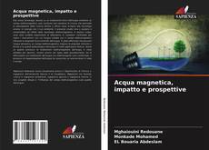 Acqua magnetica, impatto e prospettive kitap kapağı