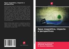 Água magnética, impacto e perspectivas kitap kapağı