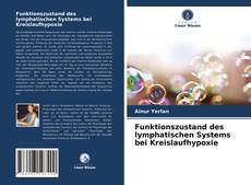 Portada del libro de Funktionszustand des lymphatischen Systems bei Kreislaufhypoxie