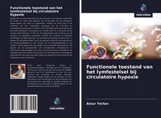 Bookcover of Functionele toestand van het lymfestelsel bij circulatoire hypoxie