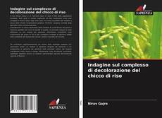 Bookcover of Indagine sul complesso di decolorazione del chicco di riso