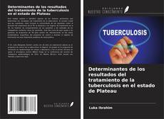 Determinantes de los resultados del tratamiento de la tuberculosis en el estado de Plateau的封面