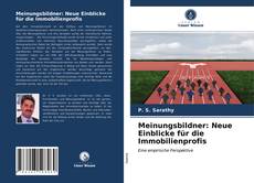 Capa do livro de Meinungsbildner: Neue Einblicke für die Immobilienprofis 