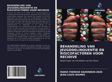 Bookcover of BEHANDELING VAN JEUGDDELINQUENTIE EN RISICOFACTOREN VOOR RECIDIVE