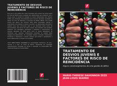 TRATAMENTO DE DESVIOS JUVENIS E FACTORES DE RISCO DE REINCIDÊNCIA的封面