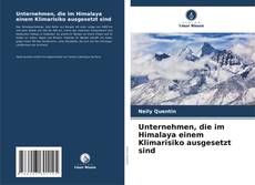 Capa do livro de Unternehmen, die im Himalaya einem Klimarisiko ausgesetzt sind 