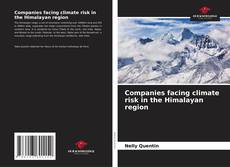 Copertina di Companies facing climate risk in the Himalayan region