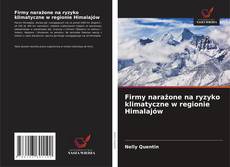 Bookcover of Firmy narażone na ryzyko klimatyczne w regionie Himalajów