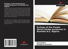 Copertina di Ecology of the Purple Heron (Ardea purpurea) in Numidia N.E. Algeria