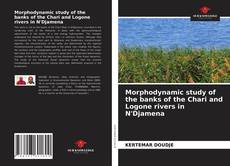 Morphodynamic study of the banks of the Chari and Logone rivers in N'Djamena的封面