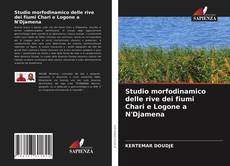 Copertina di Studio morfodinamico delle rive dei fiumi Chari e Logone a N'Djamena