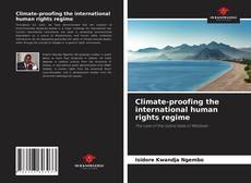 Climate-proofing the international human rights regime的封面