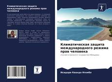 Климатическая защита международного режима прав человека kitap kapağı