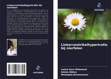 Portada del libro de Linkerventrikelhypertrofie bij nierfalen