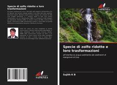 Couverture de Specie di zolfo ridotte e loro trasformazioni