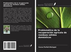 Bookcover of Problemática de la recuperación agrícola de residuos sólidos domésticos