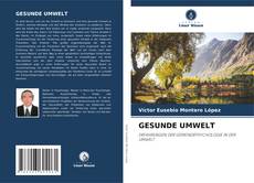 Bookcover of GESUNDE UMWELT