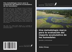 Borítókép a  Una metodología marco para la evaluación del impacto acumulativo de los humedales - hoz