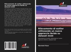 Rilevamento di outlier utilizzando un nuovo approccio ibrido su dataset misti的封面