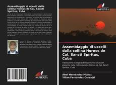 Buchcover von Assemblaggio di uccelli dalla collina Hornos de Cal, Sancti Spíritus, Cuba