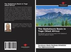 Обложка The Djabatoure Basin in Togo (West Africa)