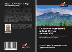 Il bacino di Djabatoure in Togo (Africa occidentale)的封面