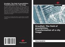 Capa do livro de Graulhet: The field of possibilities. Transformation of a city image 