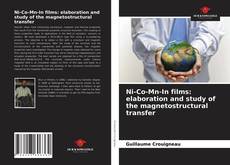 Ni-Co-Mn-In films: elaboration and study of the magnetostructural transfer的封面