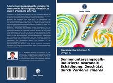 Couverture de Sonnenuntergangsgelb-induzierte neuronale Schädigung; Geschützt durch Vernonia cinerea