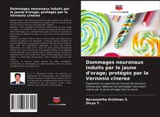 Couverture de Dommages neuronaux induits par le jaune d'orage; protégés par la Vernonia cinerea