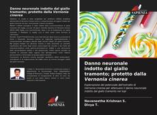 Danno neuronale indotto dal giallo tramonto; protetto dalla Vernonia cinerea kitap kapağı