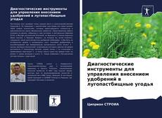 Bookcover of Диагностические инструменты для управления внесением удобрений в лугопастбищные угодья