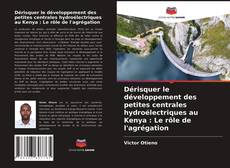 Couverture de Dérisquer le développement des petites centrales hydroélectriques au Kenya : Le rôle de l'agrégation