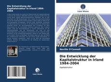 Bookcover of Die Entwicklung der Kapitalstruktur in Irland 1984-2004