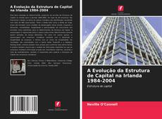 Couverture de A Evolução da Estrutura de Capital na Irlanda 1984-2004