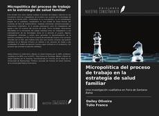 Portada del libro de Micropolítica del proceso de trabajo en la estrategia de salud familiar