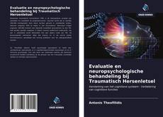 Evaluatie en neuropsychologische behandeling bij Traumatisch Hersenletsel kitap kapağı