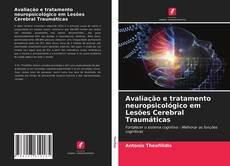 Avaliação e tratamento neuropsicológico em Lesões Cerebral Traumáticas的封面