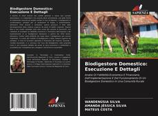 Capa do livro de Biodigestore Domestico: Esecuzione E Dettagli 