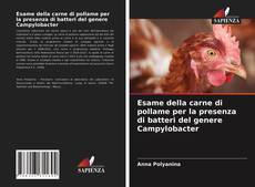 Capa do livro de Esame della carne di pollame per la presenza di batteri del genere Campylobacter 