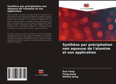 Couverture de Synthèse par précipitation non aqueuse de l'alumine et son application