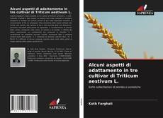 Buchcover von Alcuni aspetti di adattamento in tre cultivar di Triticum aestivum L.