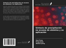 Portada del libro de Síntesis de precipitación no acuosa de alúmina y su aplicación