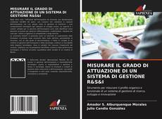 Borítókép a  MISURARE IL GRADO DI ATTUAZIONE DI UN SISTEMA DI GESTIONE R&S&I - hoz